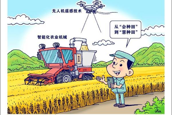 盆栽生姜的种植方法和时间 生姜怎么种植方法步骤
