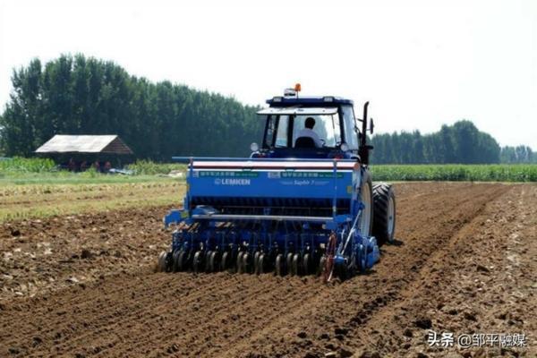 韭菜地阔叶杂草除草剂 洋葱专用除草剂是什么除草剂