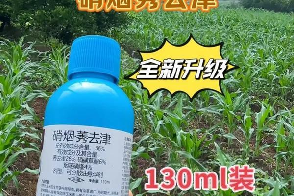 水稻直播用什么除草剂封闭 旱直播稻二次封闭除草