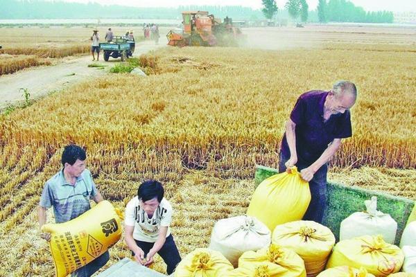 果实的催熟剂是什么 催熟剂化学名是什么?