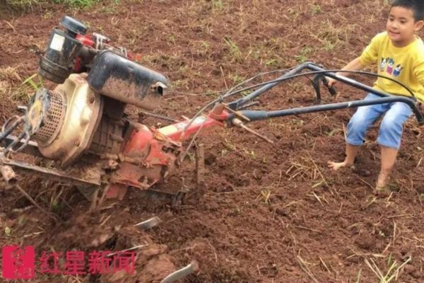 西红柿催红素叫什么 番茄一点红怎么使用,什么原理?