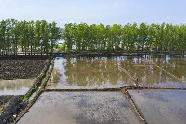 吡虫啉百分十好还是百分70好 艾美乐70%吡虫啉 使用说明