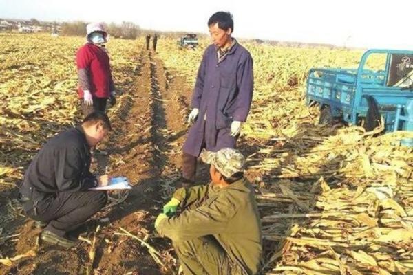 吃一个月西红柿变白了 生吃西红柿可以变白吗?