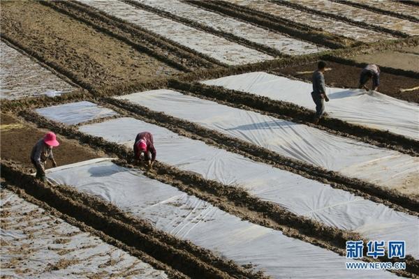 大风天打除草剂怎么样 打除草剂犯法吗？