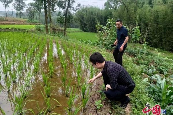 生根粉和多菌灵种多肉怎么用 生根水和多菌灵可以一起用吗?