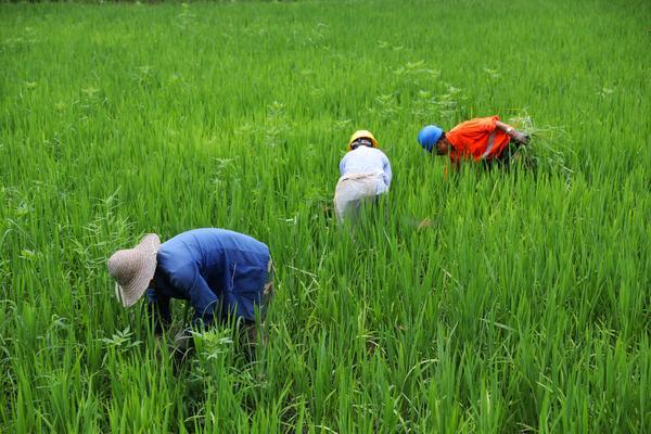 会变的彩色花什么原理 花变色的科学原理是什么?