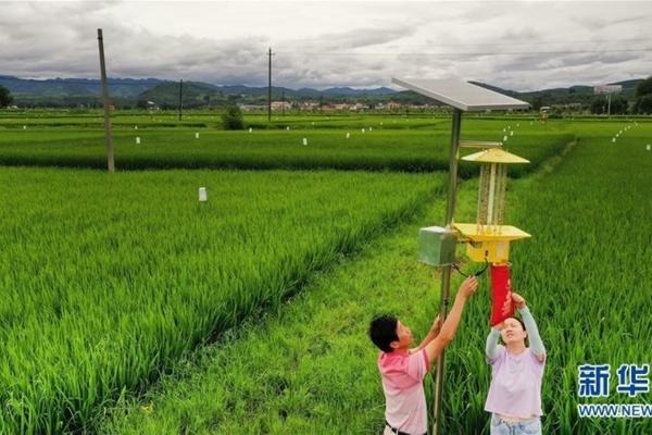 除草剂属什么经济科目 艾锄除草剂能除什么草?
