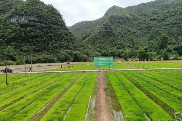 果园防霜冻风机多少钱一个 防霜冻风机适合多少米?