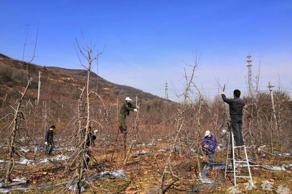 豆子打什么药除草 大豆田苗前除草剂最佳配方