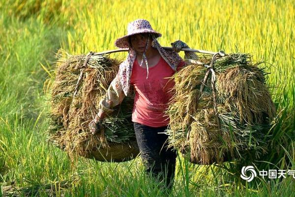 鹅误吃了除草剂怎么办 喷草甘膦12小时后可放鸡鸭？