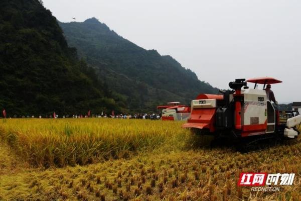 种植技术大全基础知识 农业种植业有哪些