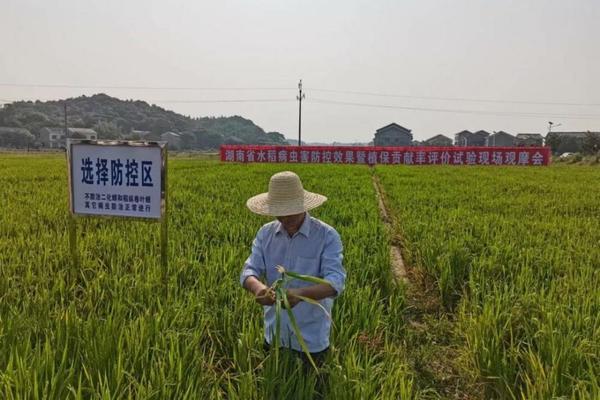 耕田播种施肥是什么季节的农事劳动 播种插秧打谷积肥是什么季节