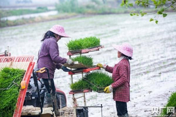 关于水稻田封闭除草剂水回流至河流中的影响及应对措施