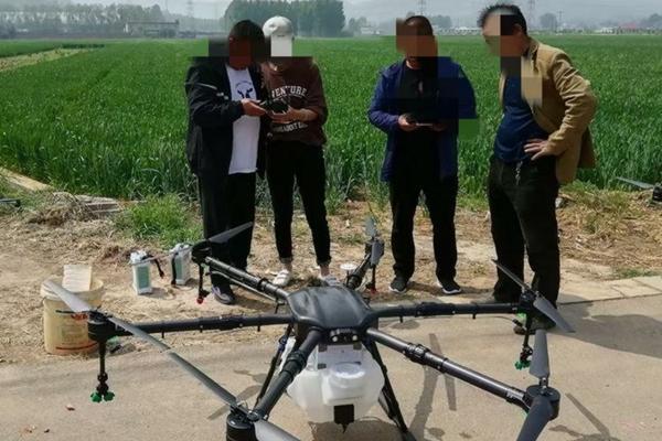 新品种大樱桃树苗 先锋樱桃介绍?
