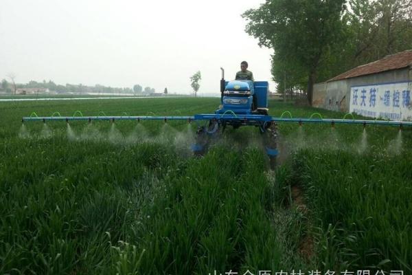 绿熊多肉开花 12月湖南省植物园有什么花?