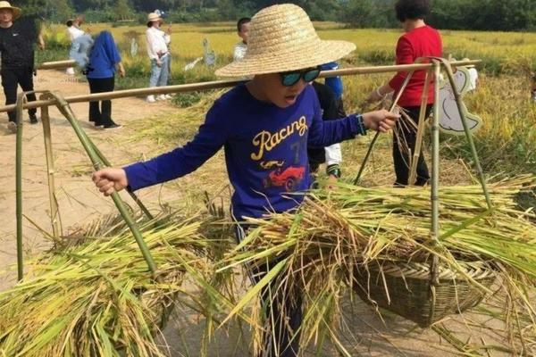 对甲基苯甲酸生产工艺 甲基毒死蜱沸点