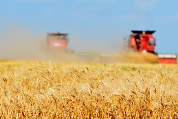 乙草胺除草剂：全面解析其特性、应用与注意事项