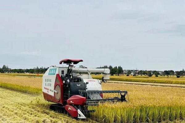 吡虫啉一克兑多少水——详解吡虫啉的使用方法和注意事项