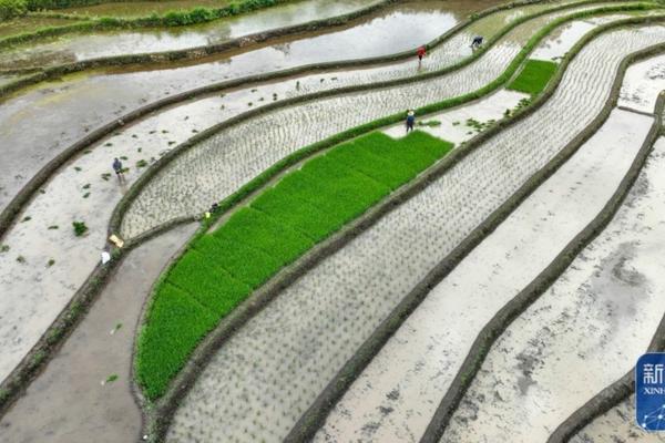 不打除草剂的茶叶有什么特点吗 国标无农残茶叶标准?