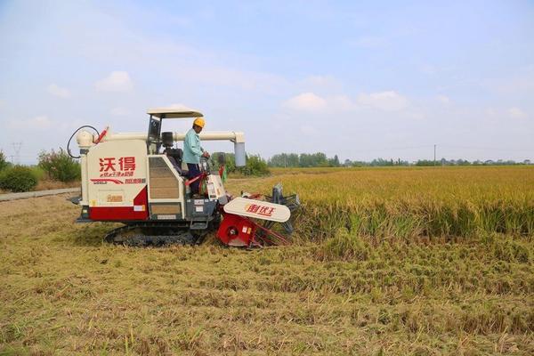 多菌灵在兰花病虫害防治中的应用