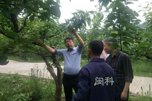 薄荷地里能用什么除草剂呢 油菜田除草剂盖草能和烯草酮