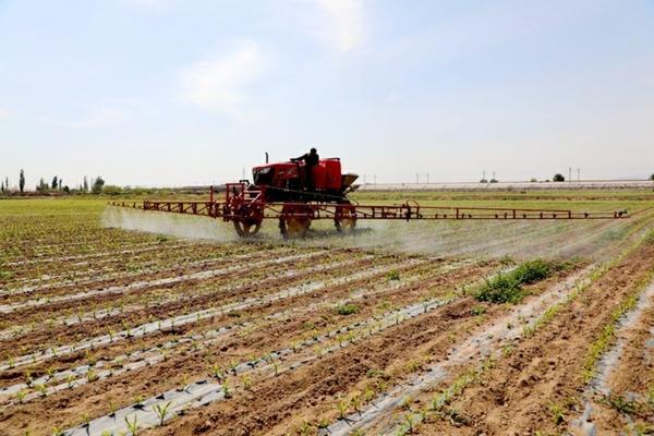 小麦除草剂与叶面肥能否混合施用：探讨其混合使用的可行性与注意