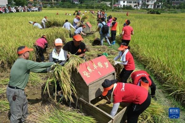 耙耙柑种植技术与管理 “耙耙柑”的种植技术是什么?