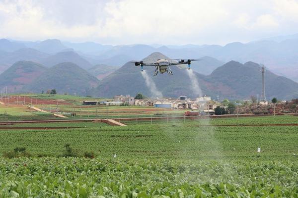韭菜叶子冻尖用什么农药 韭菜出苔期可冲施硝酸钾吗?