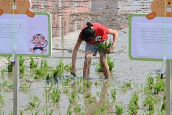 《油菜田除草剂使用技术指南》