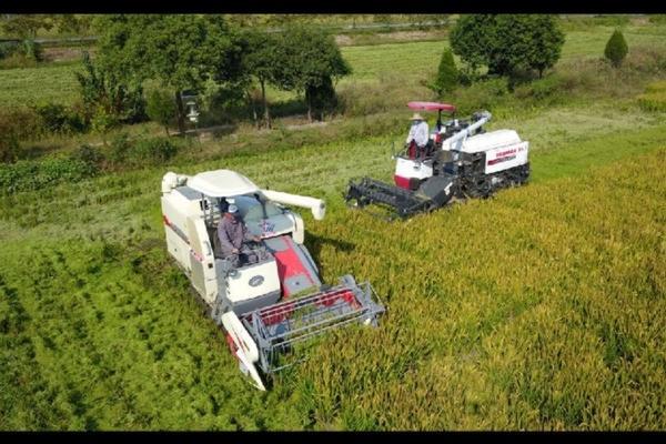 食品中农药残留现状及检测方法 农药残留标准的五个不同级别?