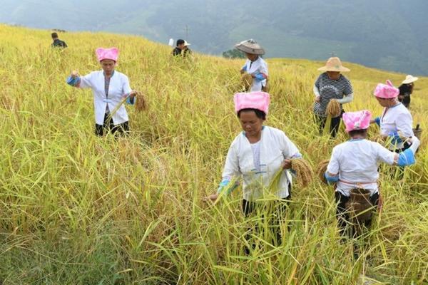 生根剂灌根使用方法 种树生根水的正确方法？