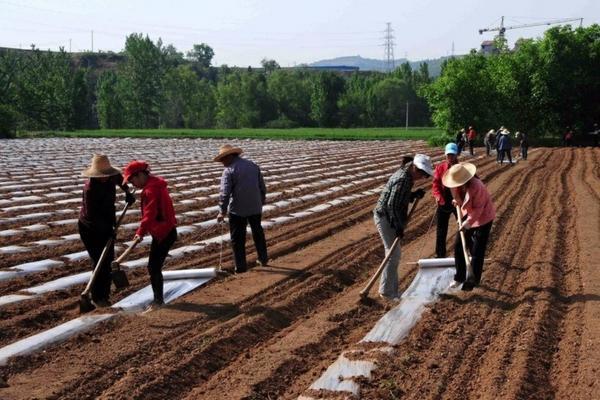 吡虫啉是什么类型农药 喹啉和异喹啉结构式