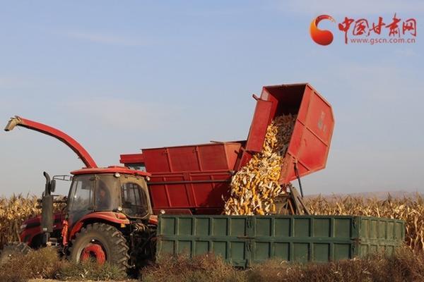 草莓育苗的种植方法及管理技术 草莓西红柿的种植方法和管理技术