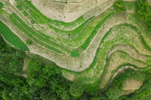 青岛蔬菜农药残留检测 青岛农业大学的农业资源与环境的专业学科怎么样,以后好就业吗?