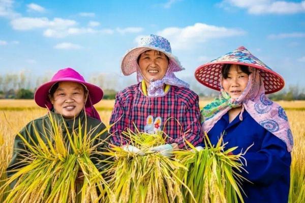 种毛豆什么时候种 毛豆种植技术与管理视频
