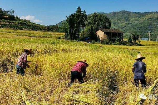 拖拉机驾驶所需驾照类型及相关内容介绍