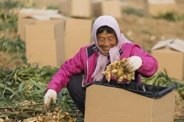 萝卜地里的虫子不用农药能治吗？