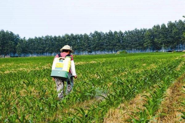 乙蒜素杀菌原理详解