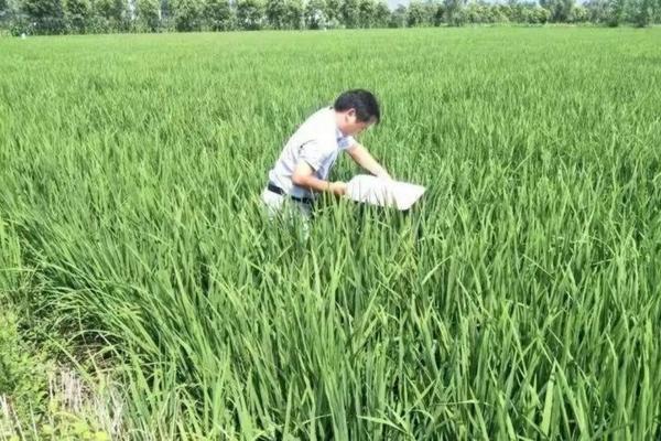 螺螨酯和阿维菌素混配 阿维螺螨酯可以跟波尔多液混用吗？