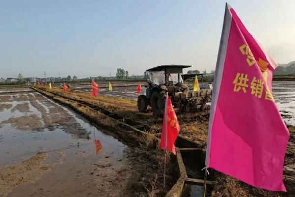 吡虫啉超标对生态环境及人体健康的危害