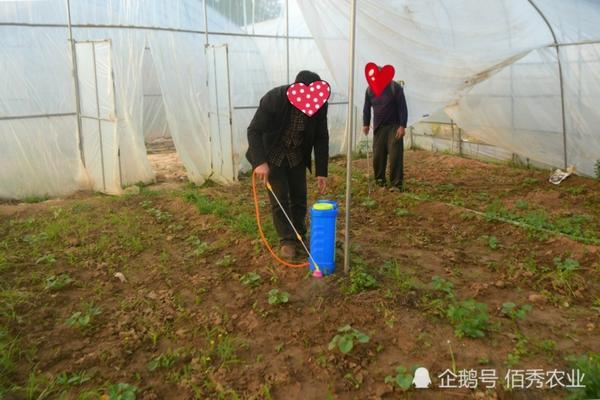 吡虫啉间隔多久喷一次 喷吡虫啉农药多少天可以食用