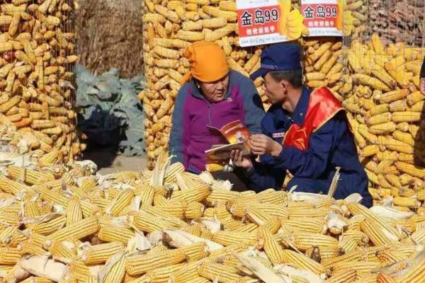 蔬菜大棚多少钱一亩 钢架 钢架大棚包工包料一平方多少钱?