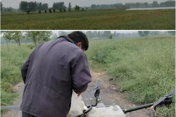 用多菌灵怎么给土消毒 多菌灵土壤消毒方法