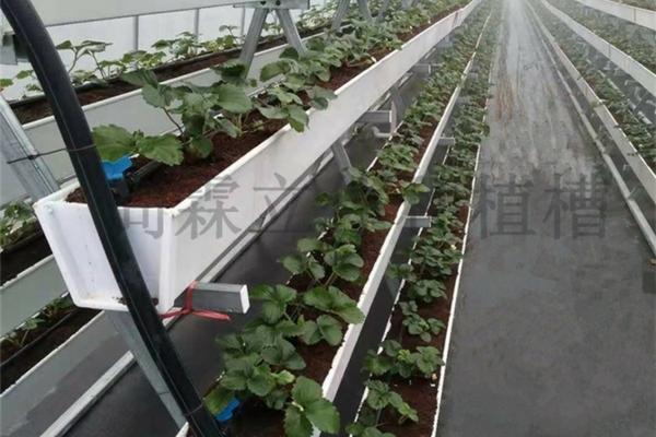 收割机收小麦视频 收割小麦的机器叫什么