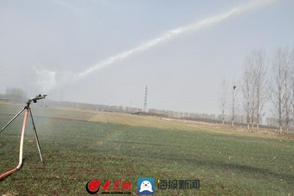西红柿催红的最快方法 番茄催熟剂怎么使用?