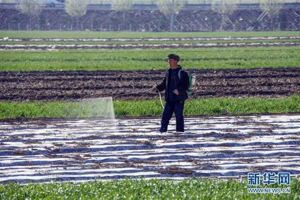 樱桃树苗什么时候移栽最好 樱桃移栽时间和方法?