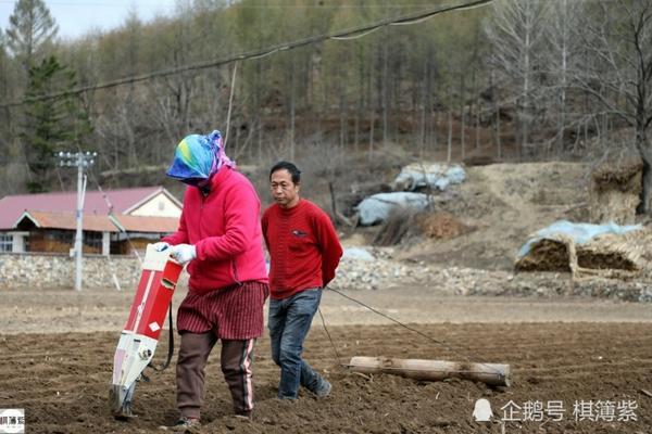 多年的桃树可以用什么除草剂 麦地除草剂对桃树有影响吗?