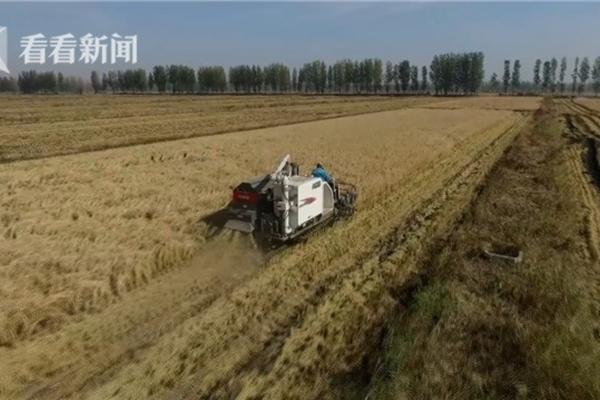 100克草甘膦配多少水 水渠打草甘膦多久放水不影响药效?