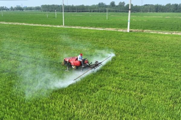 油菜田苗后除草用什么药 油菜被除草剂药伤害怎么办