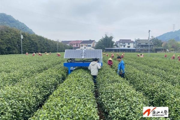 关于毒死蜱价格的信息
